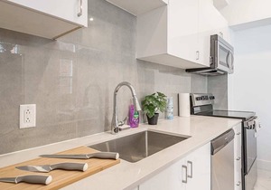 Bright, 4 Bedroom Apt. - Little Portugal