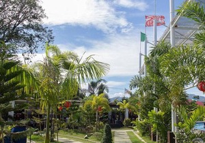 Buddha Resort