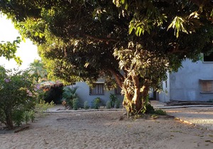 Bungalow 2 for 5 people