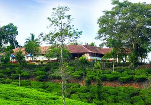 Bungalow