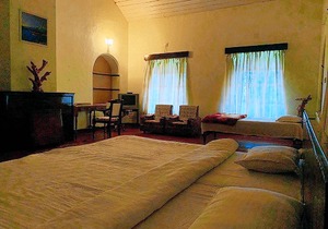 Bungalow With Tea Garden View