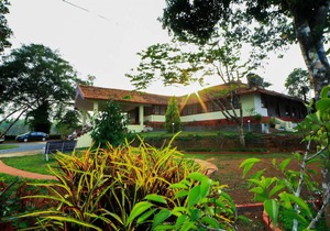 Bungalow With Tea Garden View