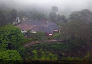 Bungalow with Tea Garden View