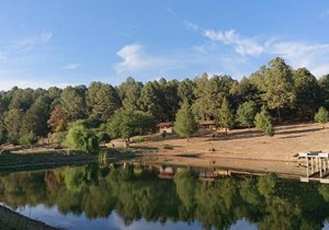 Cabañas Tapalpa Sierra del Tecuan, Cabaña Patos
