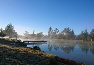 Cabañas Tapalpa Sierra del Tecuan, Cabaña Lince