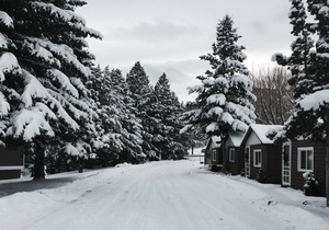 Cabin with Kitchenette sleeps up to 4. 22 miles from ski resorts.