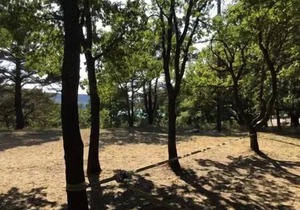 Campsite Le Domaine De Chanteraine *** - Mobilhome for 6 People