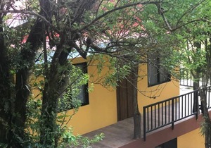 Cantos del Bosque 2!