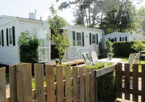 Captivating chalet with a microwave, near the Wadden Sea