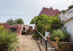 Casa Adega - Quinta Amoreira