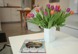Casa Annika