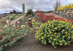 Casa Cueva de las Palomas 2