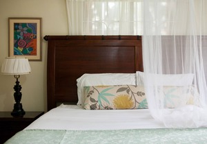 Casa da Buena Vista B&B Apt 1 | 4 mins to town/NCU