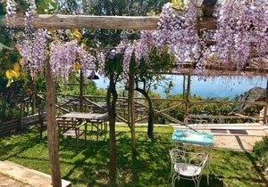 Casa Flora
