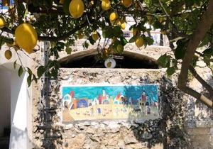 Casa Flora