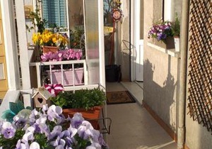 Casa Nostra al Pigneto