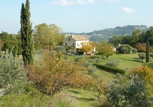 Casale Oliva in a landscape of oaks, olive e cherry trees