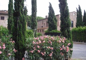 Casaleaurelia