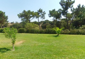 Casas Da Duna