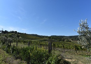 CASE&COLLINE Pozzo 2&3