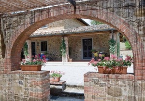 Cellar Apartment