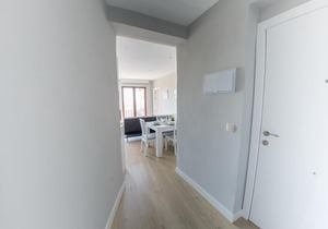central apartment in Toledo D