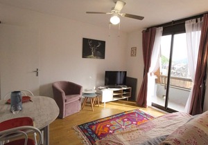 Central LUCHON Apartment - 1BR - Sleeps 4 - Balcony - Parking - Near Lift & Spa