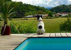 Chalet 1 (Sleeps 2, 1 Bedroom)