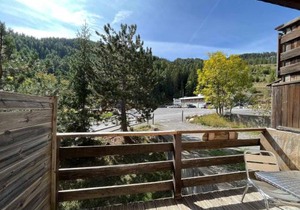 Chalet confort à Pra Loup, 4 pers, proche piste, balcon, animaux admis - FR-1-165A-61