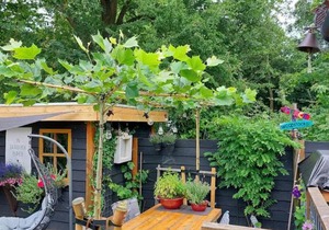 Chalet Kajuit 443, vakantiepark Bergumermeer