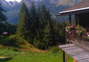 Chalet Rustikal