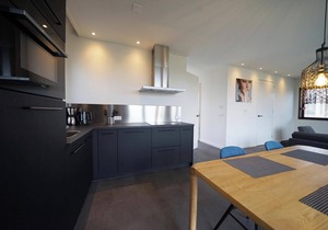 Chalet with 2 bedrooms and a terrace