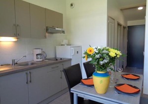 Chalets au bord de l'étang avec terrasse privative, parfaits pour la pêche et détente en nature - FR-1-496-88