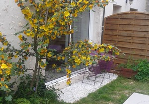 Charming Cottage Near Loire Castles: Cozy Living, Pet-Friendly, Wi-Fi, Outdoor Area
