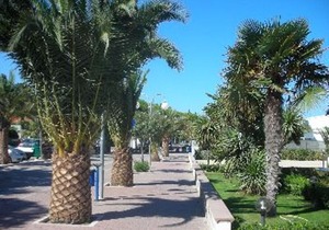 Charming And Comfortable House Between Mountains And Beaches. Pets Welcome