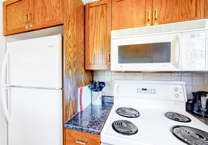 Charming Dog & Family-Friendly Blue Mountain Condo