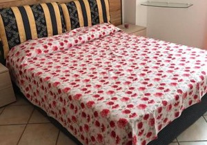Charming house with parking near Badalucco Sleeps 6