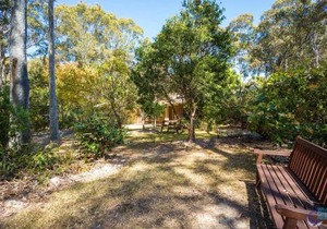 Cherrybush at Mystery Bay
