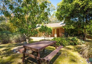 Cherrybush at Mystery Bay