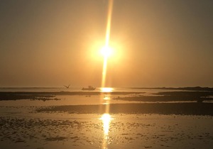 Clos L'Abbé | Prestige Residence 5 * | Between Mt St Michel & Landing beaches
