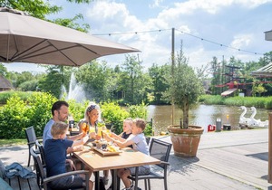 Comfort 4-person bungalow in the holiday park Landal Aelderholt