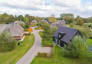 Comfort 8-person bungalow in the holiday park Landal Aelderholt
