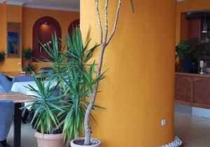 Comfort double room - Hotel Ammerländer Stuben