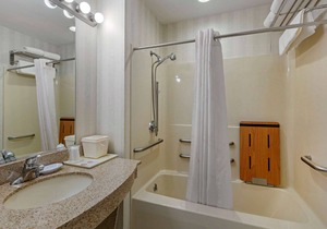 Comfort Inn & Suites East Greenbush - Albany
