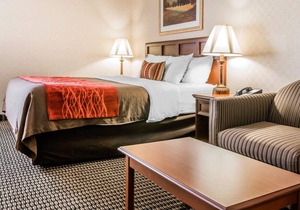 Comfort Inn Utica