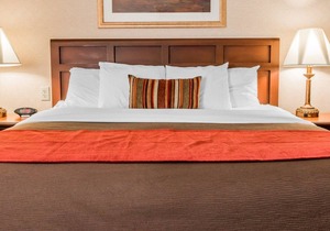 Comfort Inn Utica