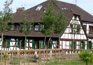 Comfort Room 2 - Goldner Engel, Restaurant - Hotel - Butcher