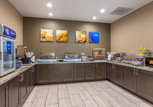 Comfort Suites Near Sam Houston Race Park