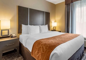 Comfort Suites Northwest Houston at Beltway 8