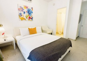 Comfortable and Elegant Aibonito Hotel/FREE PARKING & WIFI/GOOD AREA - 203